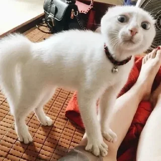 😨