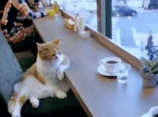 ☕