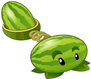 🍉