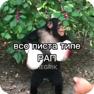 🌟