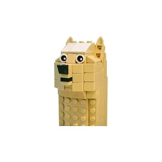 🐶