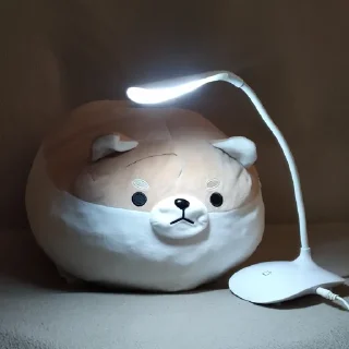 🌝