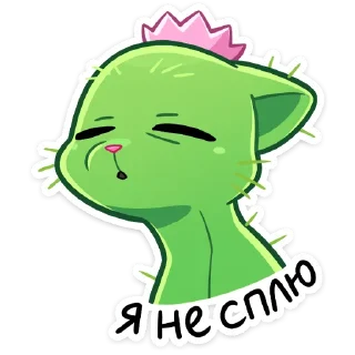 😴