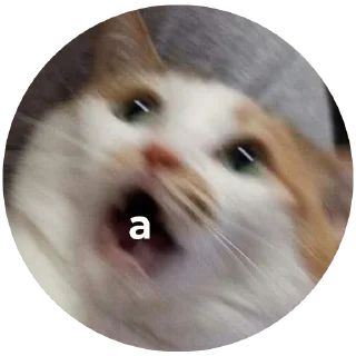 😱
