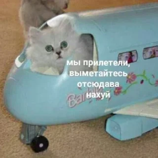 👋