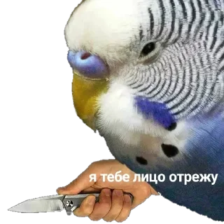😒