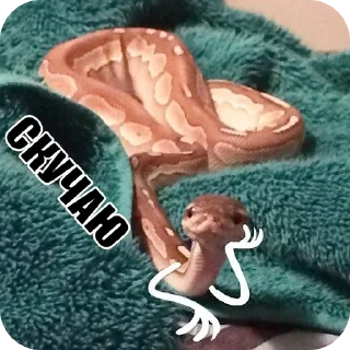 😞