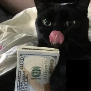 💸