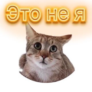 ☺