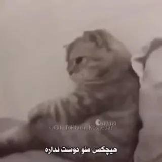 😔