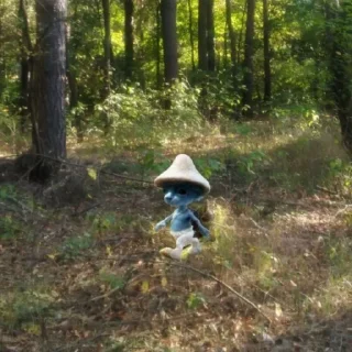 🌴