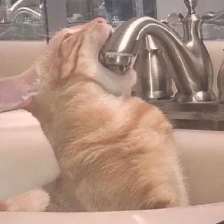 🍻