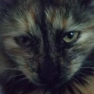 😐