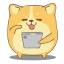 Corgi @IMG2D