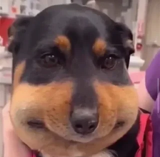 🤩