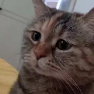 😢