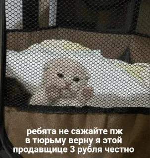 👮‍♀️