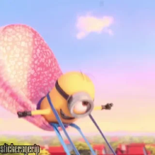 🌟