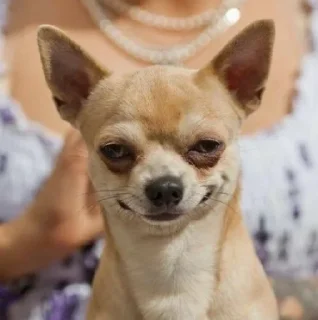 😁