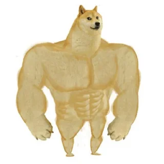 💪