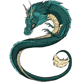 🐲