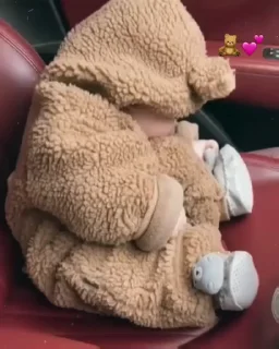 🐥