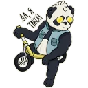 🐼