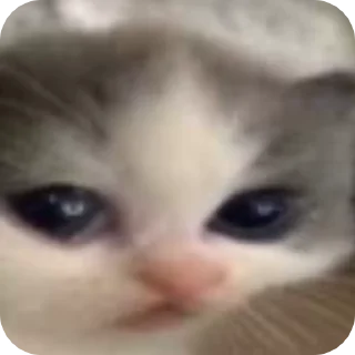🥴