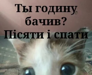 😴