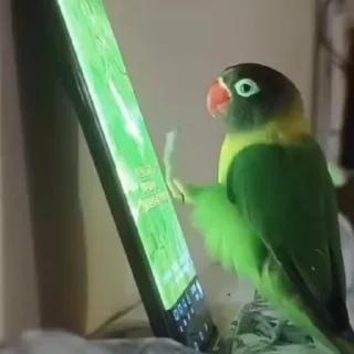 🤩