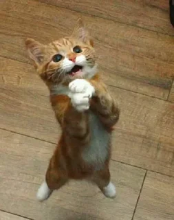 😋