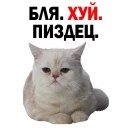 😔