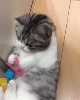 😍