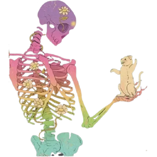 ✨