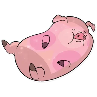 🐷