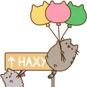 🐱