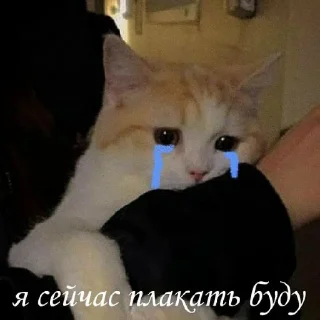 😢