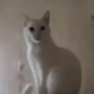 👋