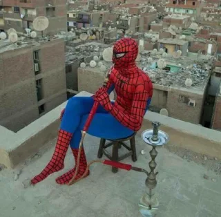 🕷
