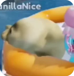 😨