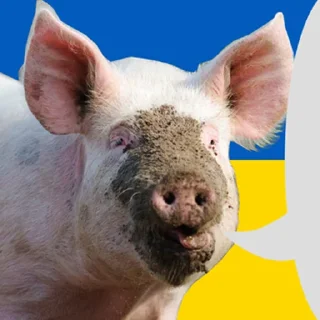 🇺🇦