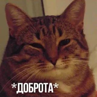 😏