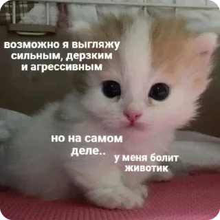 🥺