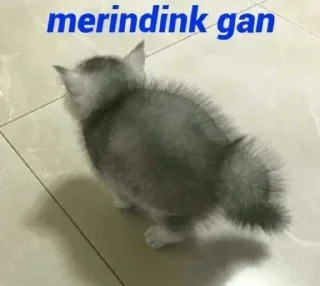 😁