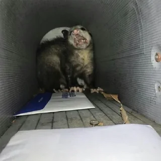 😵