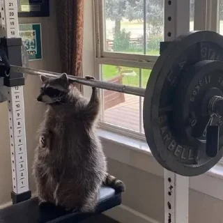💪