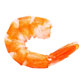 🍤