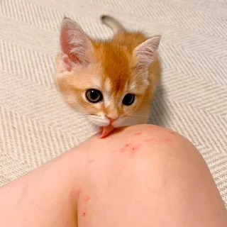 😘