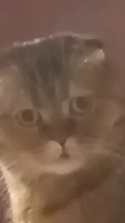 😕