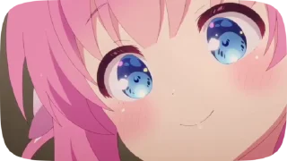 ✨